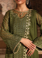 3  Piece Stitched Chiffon Suit - Ready to Wear