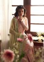 3 Piece  Stitched Chiffon Suit - Ready to Wear